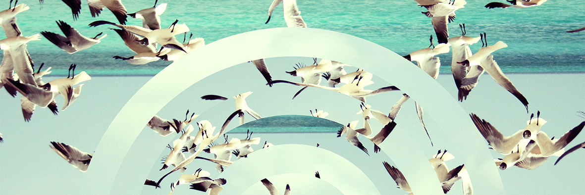 naturalFABRYC's profile banner image