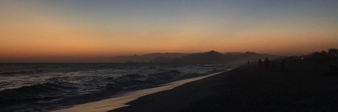 vitinhond's profile banner image