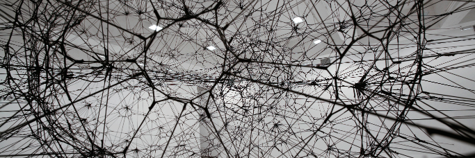 Mauro Santaniello banner