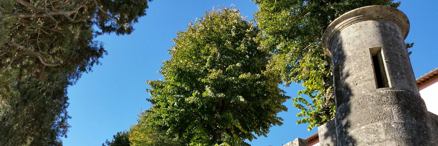 CDG55844444's profile banner image