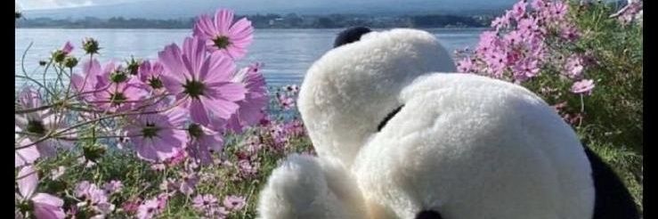 kein_pseudonym_'s profile banner image