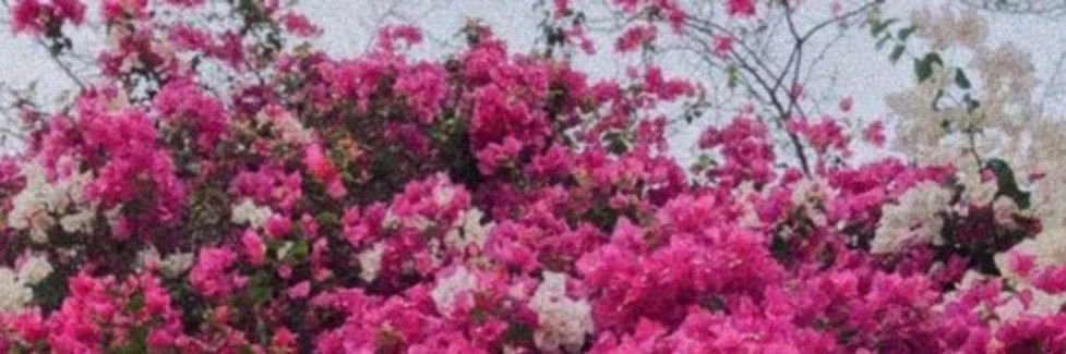 hisin5671's profile banner image
