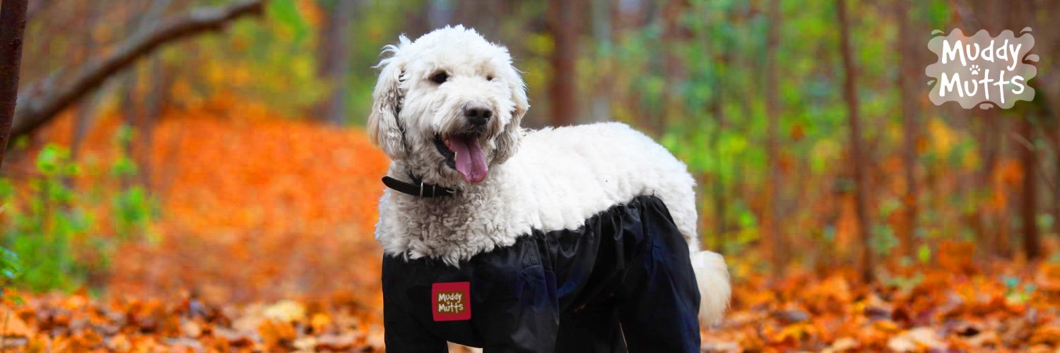 Muddy_Mutts's profile banner image
