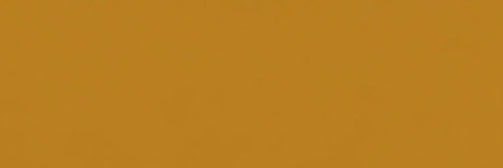 brunovalmeida97's profile banner image