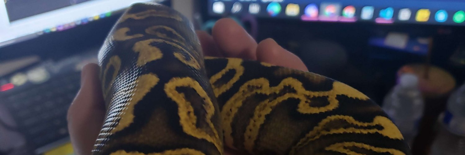 Audrey Delgado banner