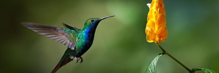 najeer3's profile banner image