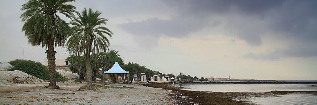 E_Almarhabi's profile banner image