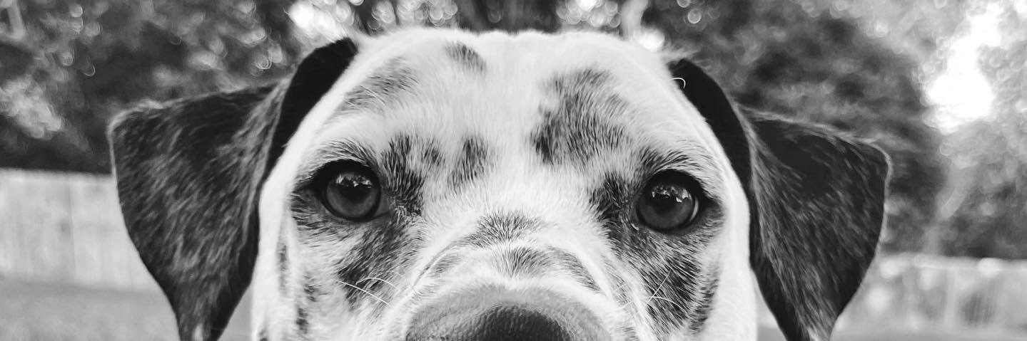 tomtommm12's profile banner image