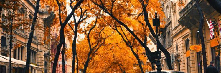 DiNaDiNa77's profile banner image