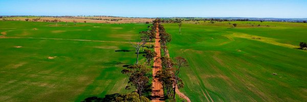 wlefroy4 Profile Banner