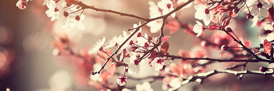 Arika_YuU's profile banner image