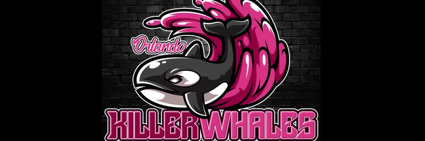 Steven Dewitz banner