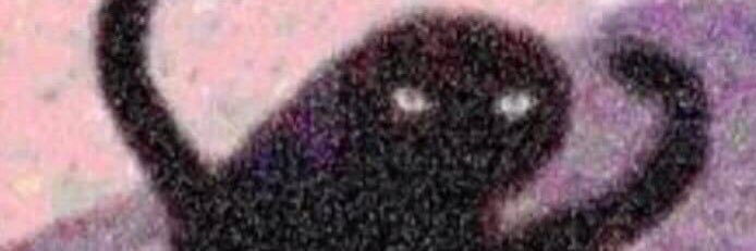 llamalicious2's profile banner image
