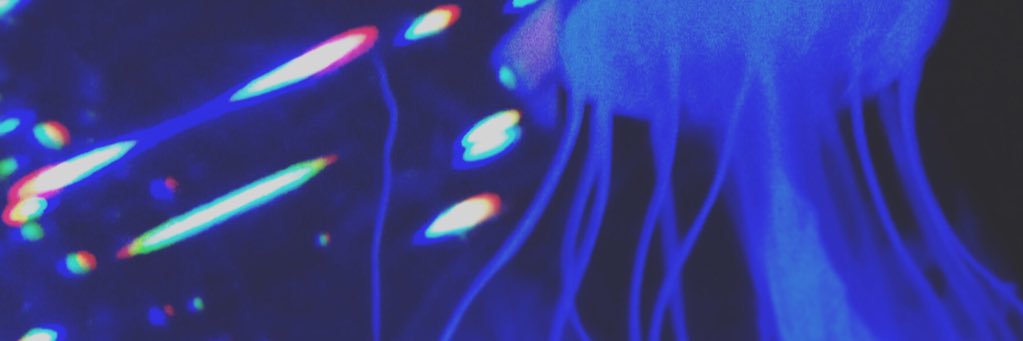 ________Tkg's profile banner image