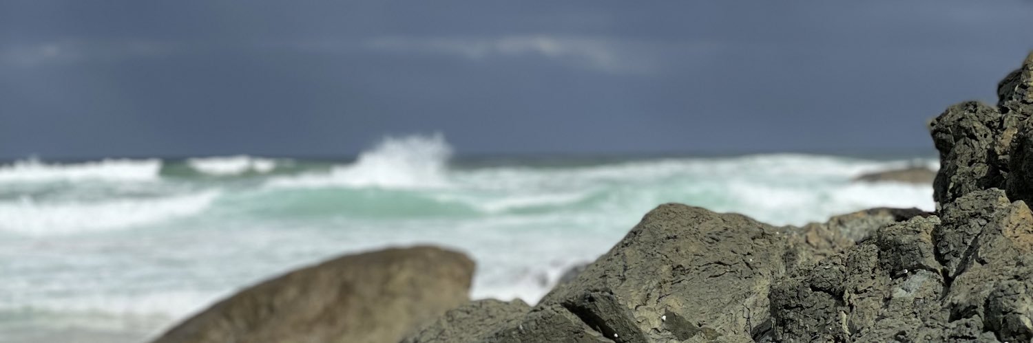 MsTrissy's profile banner image
