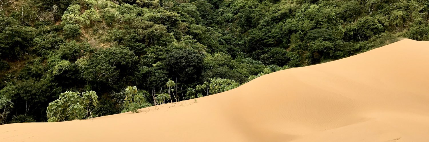 Diego Restrepo banner