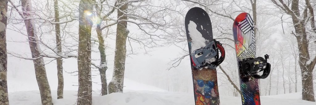 scottyrose's profile banner image