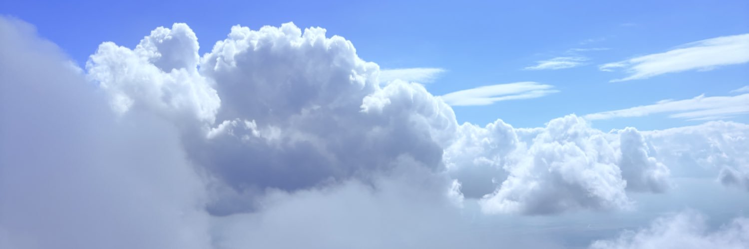 Demoiselle Du Ciel banner