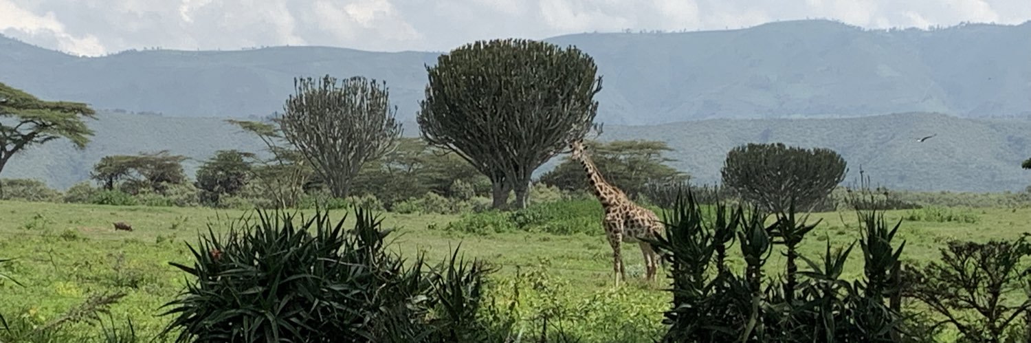 dlrpretoria's profile banner image