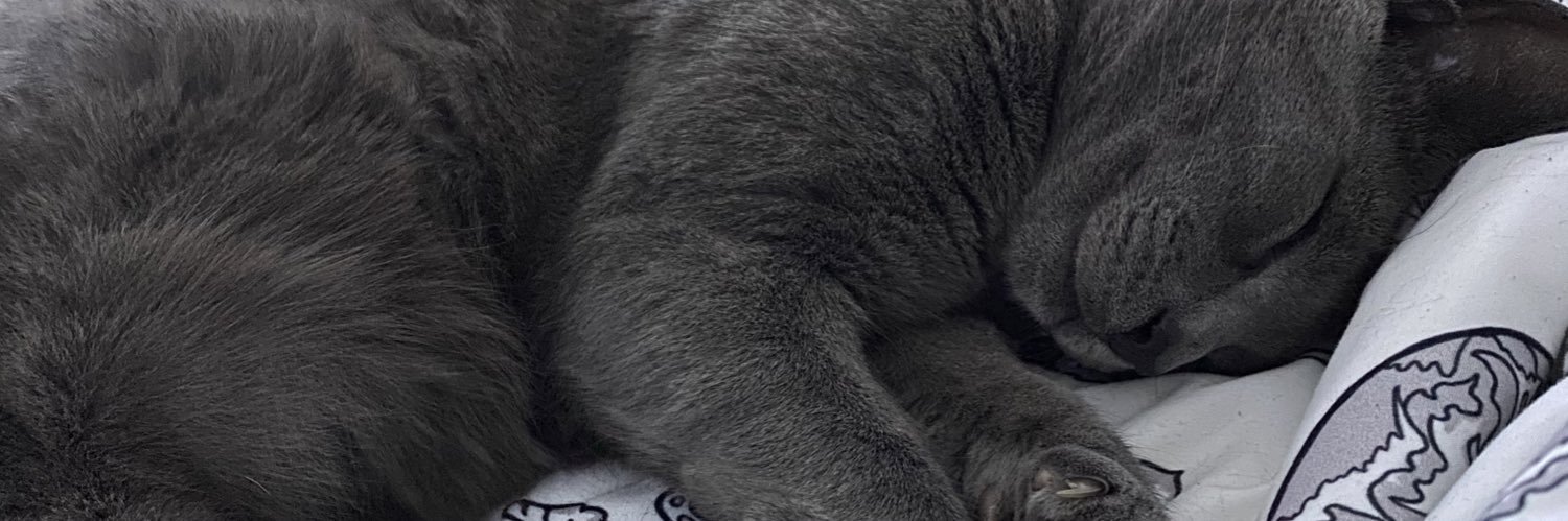 ciwywwhore's profile banner image