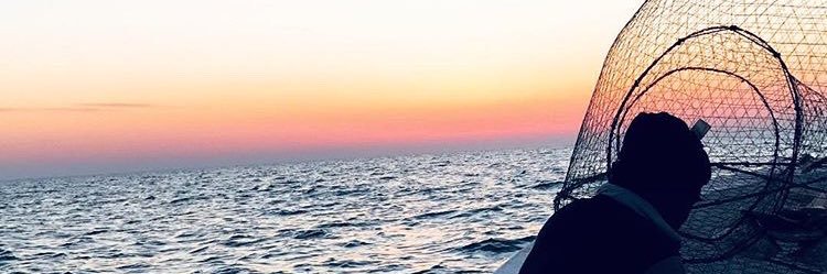 AzizAlnaama's profile banner image