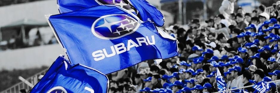 ロクイチ𓃠⸝⸝꙳ banner