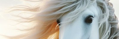 1991sarah5's profile banner image