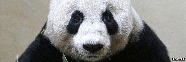 1983panda's profile banner image
