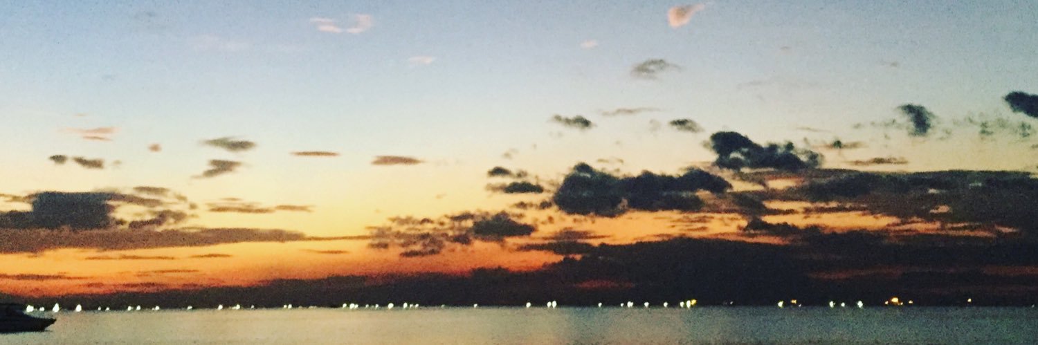erickbibal's profile banner image