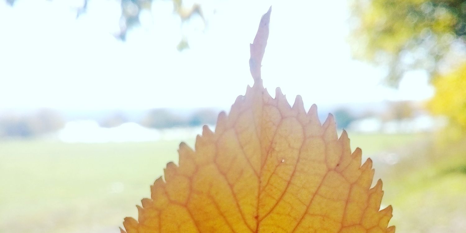 AnnRichkun's profile banner image