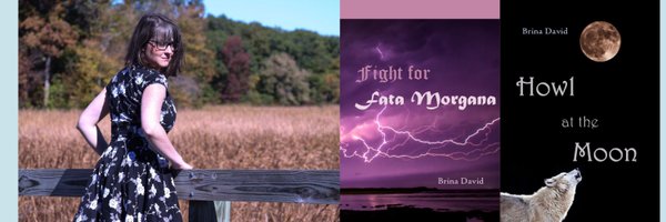 brinadavid Profile Banner