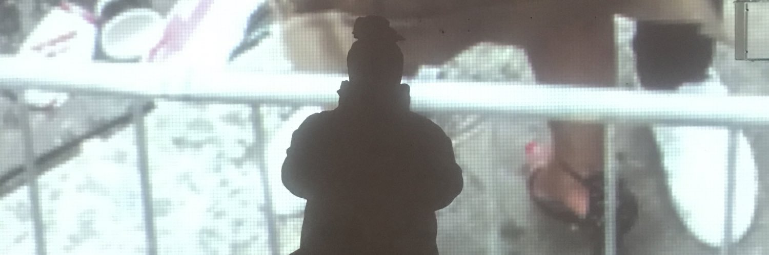 Denize Belingy banner