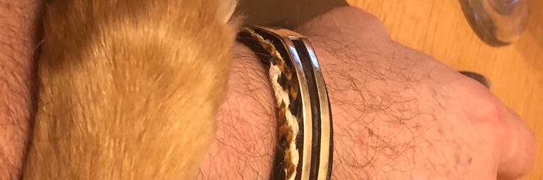 Jorge🇦🇷 banner