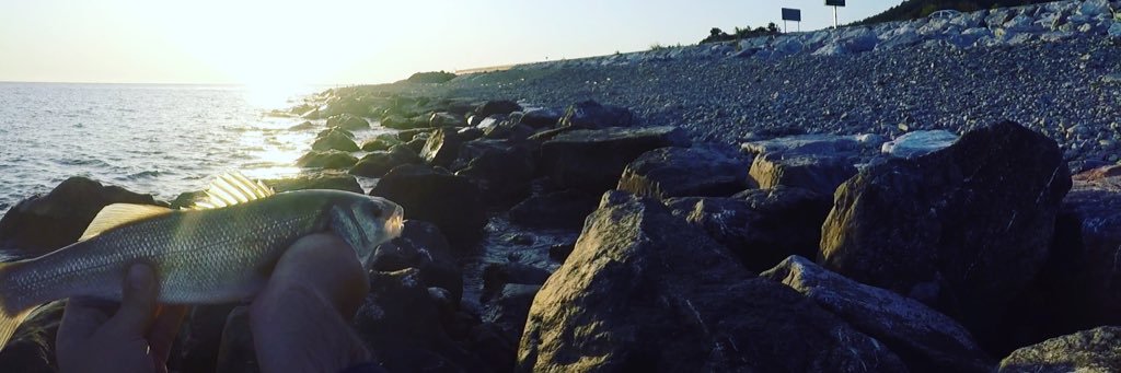 Mthzkn's profile banner image