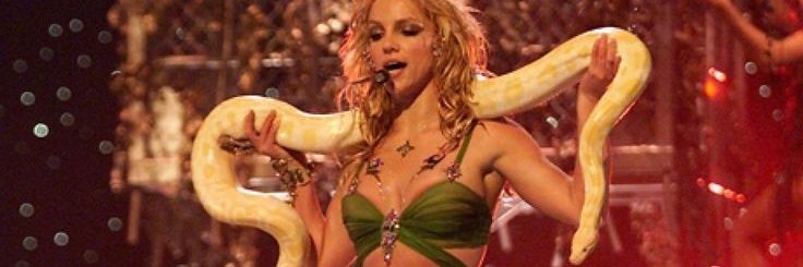 BarbaraBarcala's profile banner image