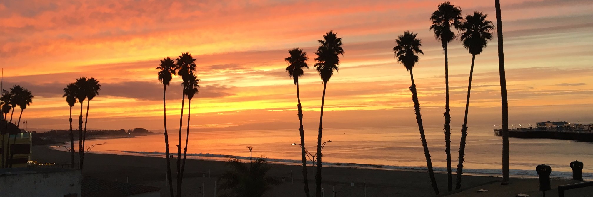 Masaaki Kurahashi MD,PhD / 倉橋　正明 banner