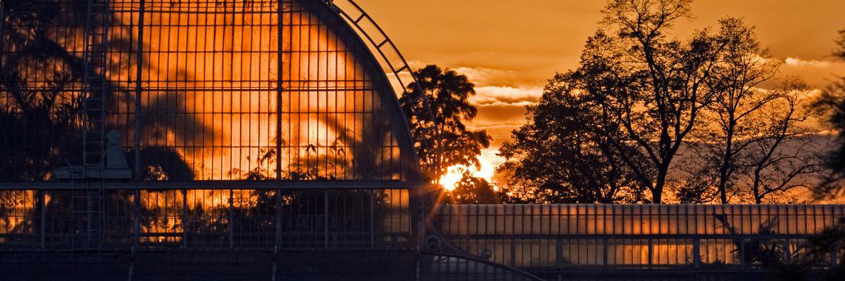 Anne Swithinbank banner