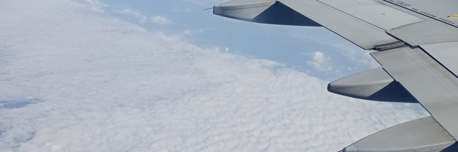 solamentemonyy's profile banner image