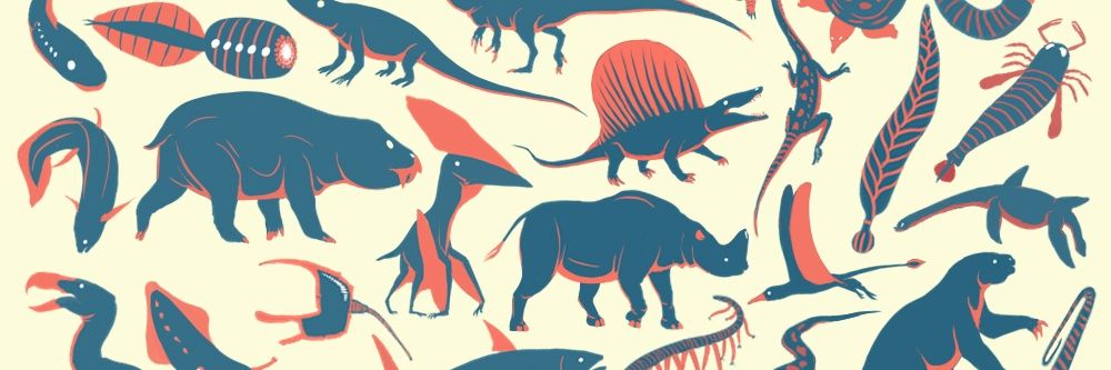 spinelesschrdt's profile banner image