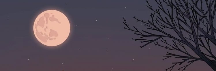 kaileywegenerr's profile banner image