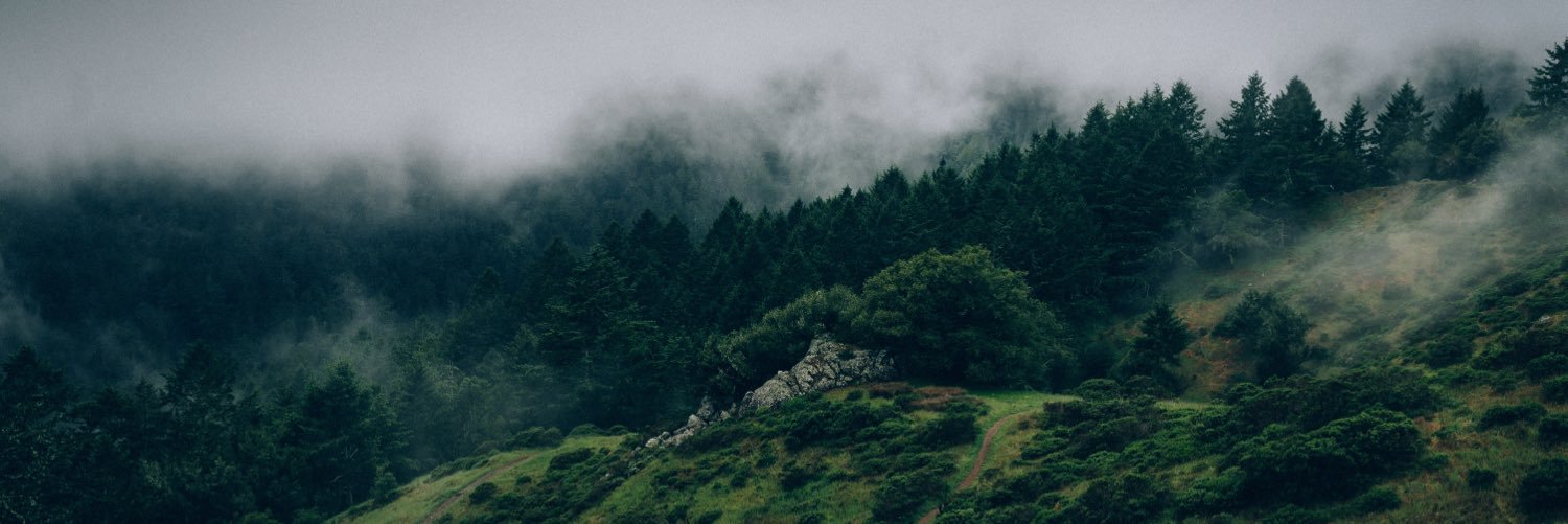 rxpj's profile banner image