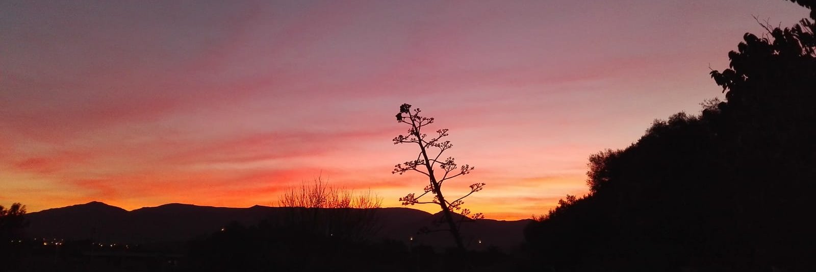 ursulaalvarez1's profile banner image