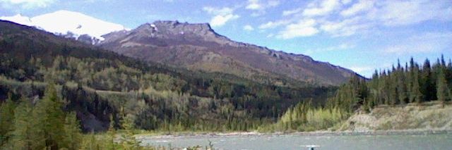 🦇 Holly 🦇 Bsky: @teridax.dev banner