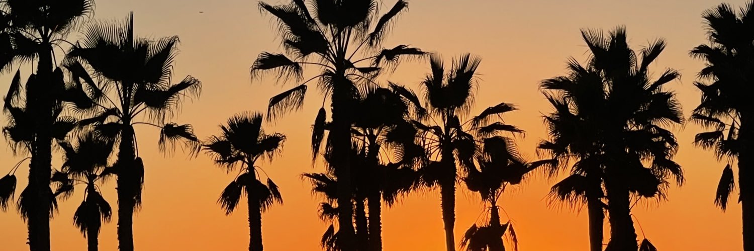 _sarahross's profile banner image