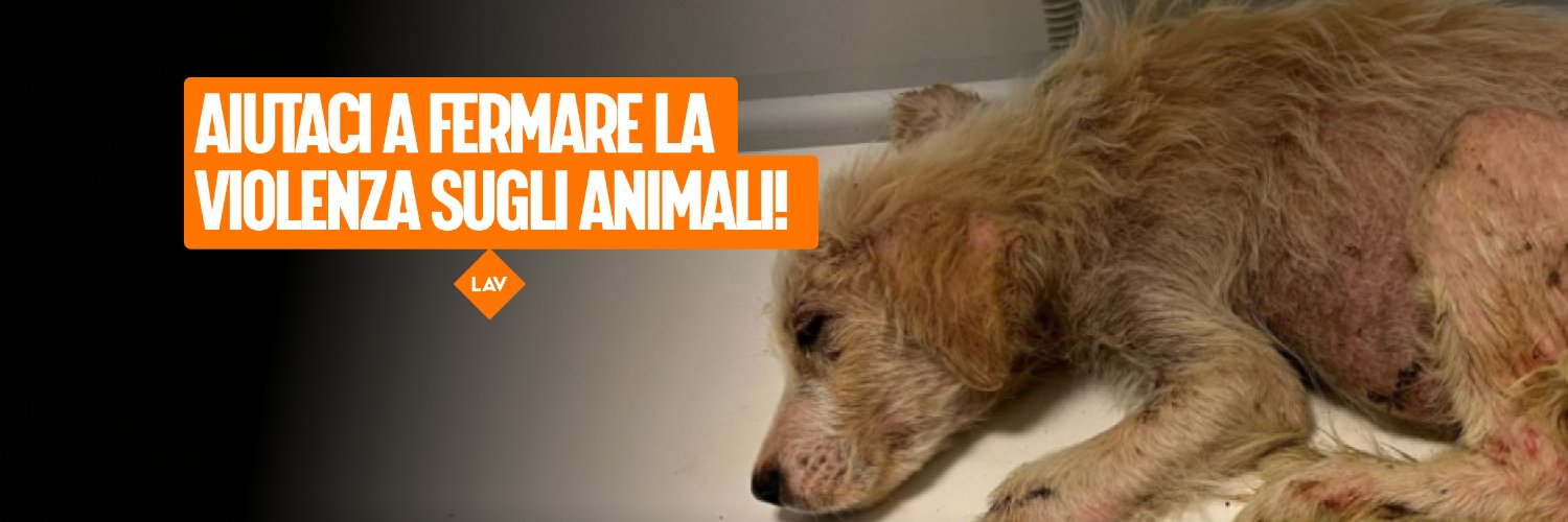 Giacomo Bottinelli - LAV #animali banner