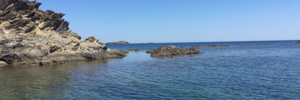 MariaTeixidor Profile Banner