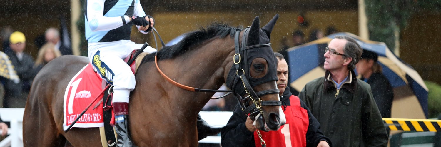 PaddyGRacing's profile banner image