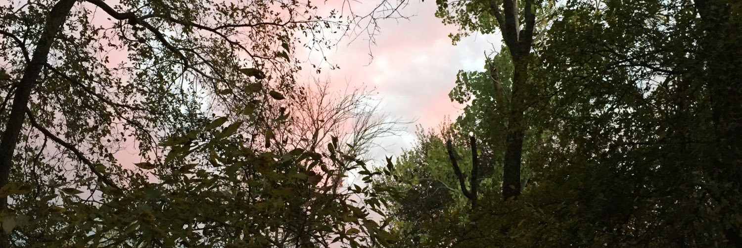 zflameous's profile banner image
