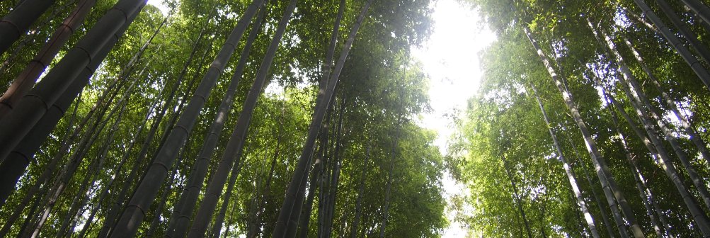 百瀬 俊介 banner