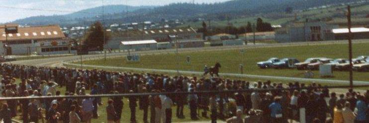 Tas Harness Racing banner